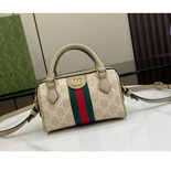  GG ǵ  ̴Ϲ 781490-2 16.5CM