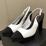        ڱ           SH5584-1          9.5CM