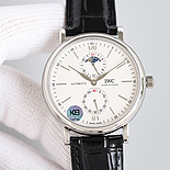 IWC  ƽ    06110-2