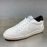 籸   V79336